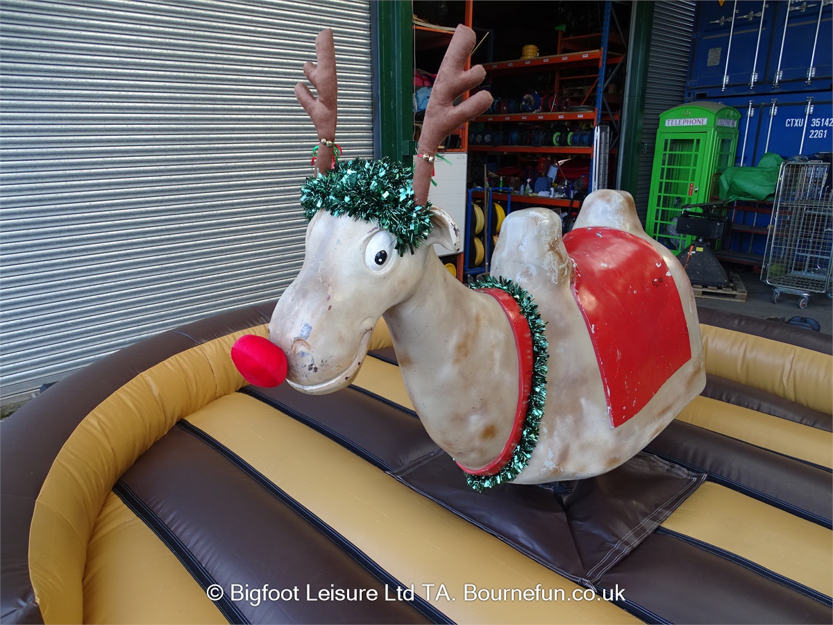 RODEO REINDEER HIRE . CHRISTMAS PARTY HIRE