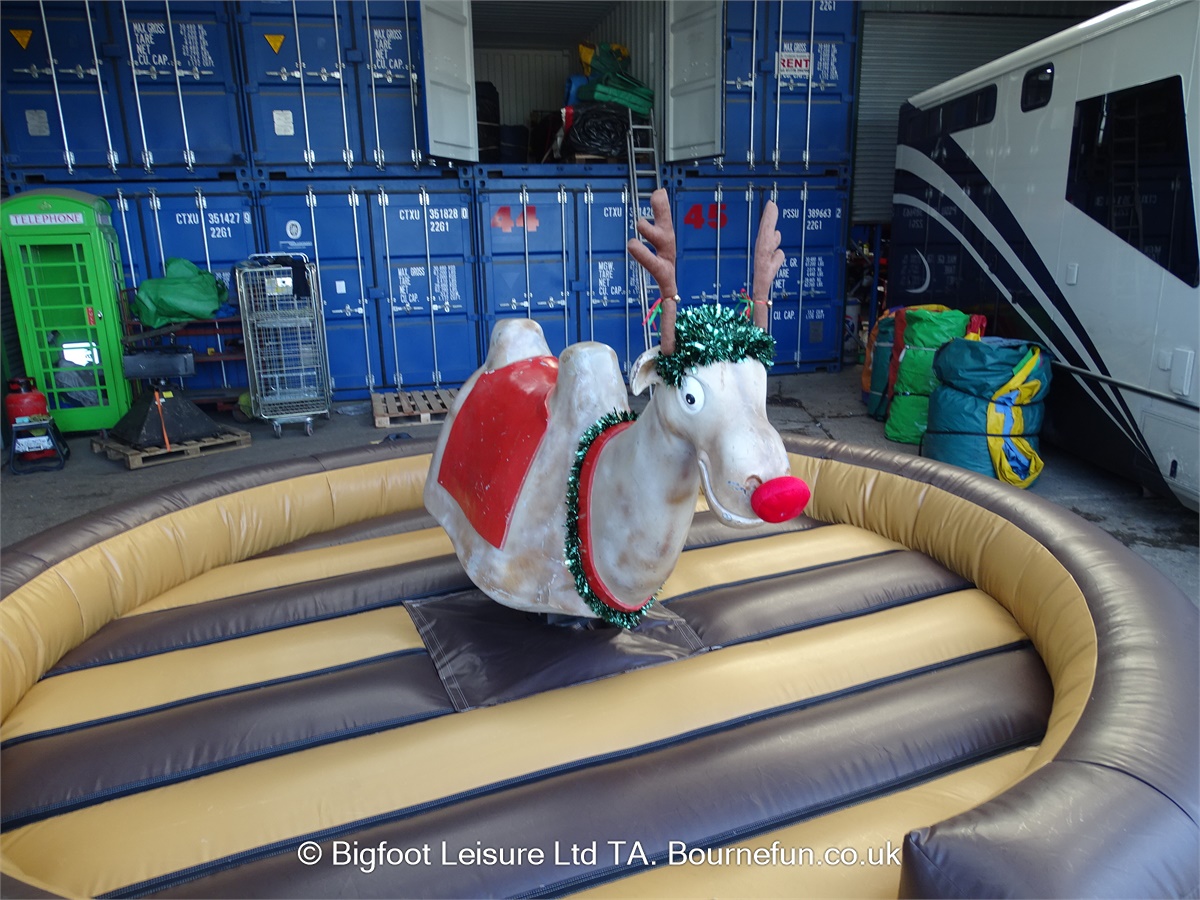 RODEO REINDEER HIRE . CHRISTMAS PARTY HIRE