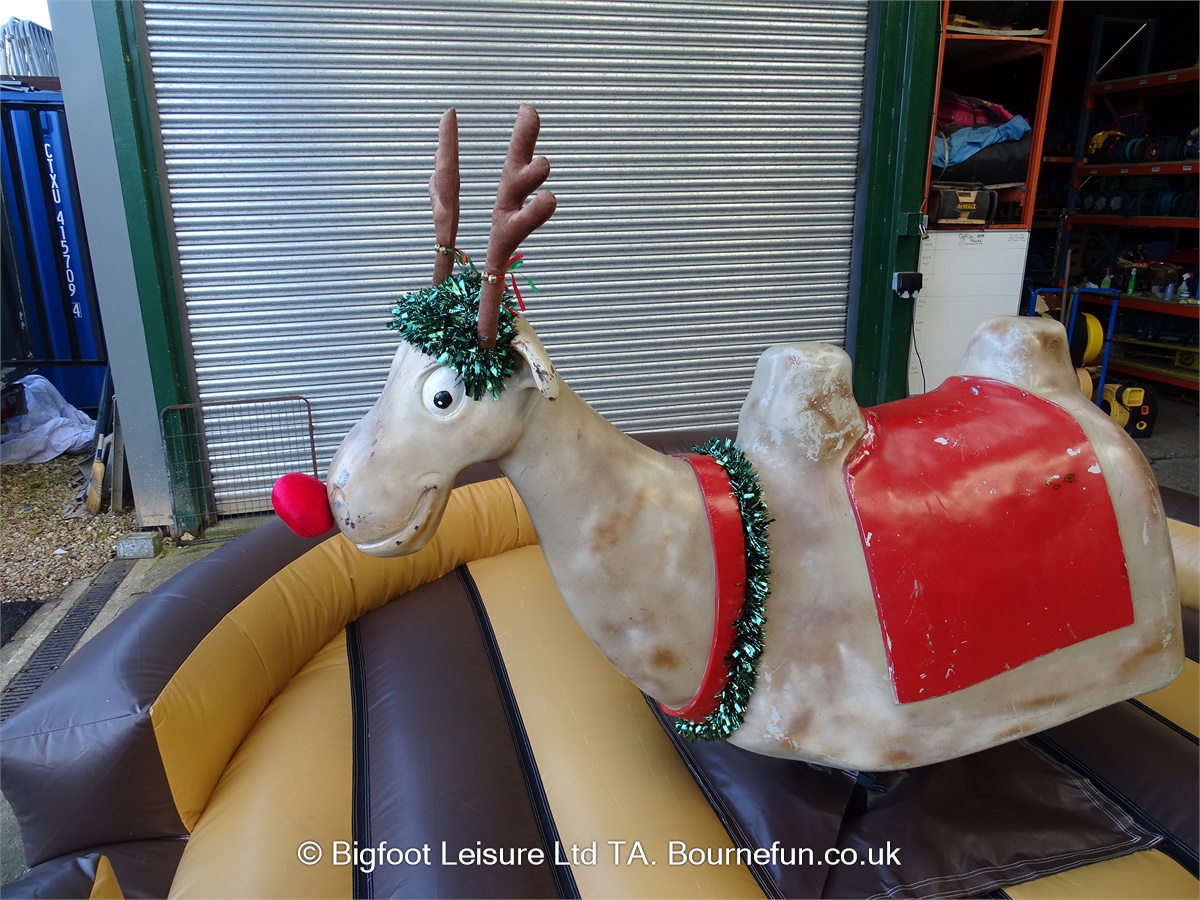 RODEO REINDEER HIRE . CHRISTMAS PARTY HIRE